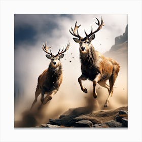 Two Male Deer Jump At The Top Of The Mountain Causing Dust And Hair And Sweat Are Scattered From T (1) Canvas Print