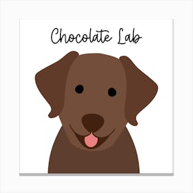 Chocolate Lab Canvas Print