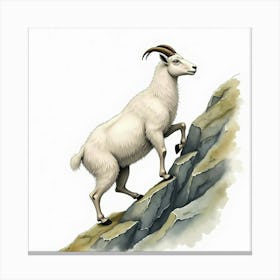 Mountain Goat Canvas Print