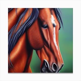 Beautiful Horse 3 Canvas Print