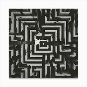 Labyrinth Canvas Print