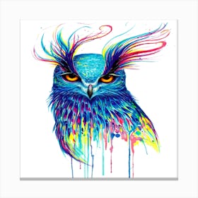 Bird Drawing Painting Owl Canvas Print