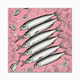 Sardines On Pink Background Canvas Print