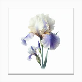 Flower of Iris Canvas Print