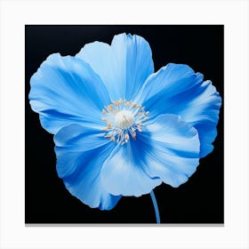 Blue Poppy 2 Canvas Print