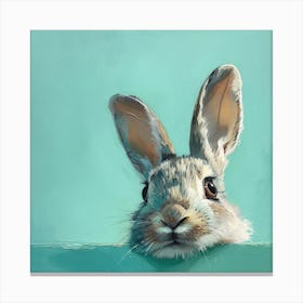 Rabbit Peeking Over The Wall Canvas Print