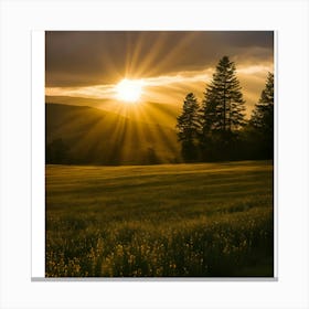 Sunset In The Meadow Canvas Print