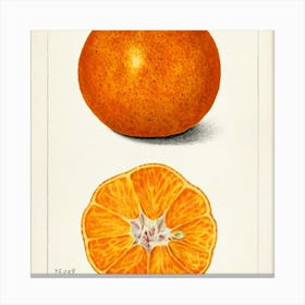 Tangerine Canvas Print