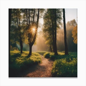 Sunrise In The Forest Canvas Print