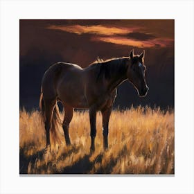 Sunset Horse 52 Canvas Print