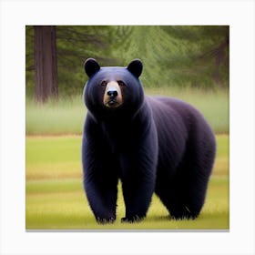 Black Bear 1 Canvas Print