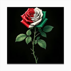 A rose with the Mexican flag Canvas Print