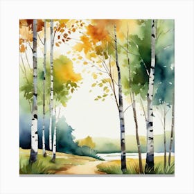 Birch Trees 6 Canvas Print