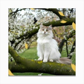 White Cat Canvas Print