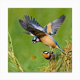 Two Birds Perched On A Branch 3 Canvas Print