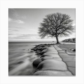 Lone Tree 6 Canvas Print