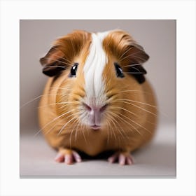 Guinea Pig 1 Canvas Print