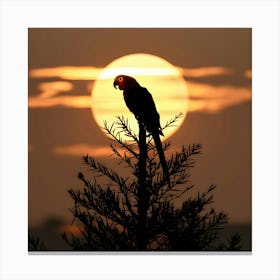 Parrot At Sunset 1 Canvas Print