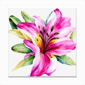 Pink Lily Canvas Print