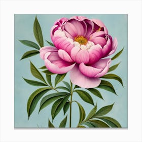 Pink Peony 1 Canvas Print