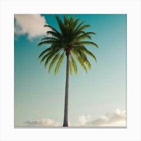 Palm Tree On The Beach 1 Canvas Print