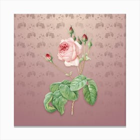 Vintage Cabbage Rose Botanical on Dusty Pink Pattern n.0274 Canvas Print