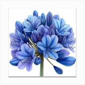 Blue Hydrangea 1 Canvas Print