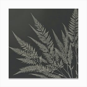 Ferns 15 Canvas Print