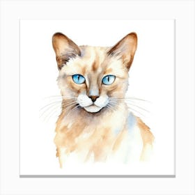 Tonkinese Mink Cat Portrait 3 Canvas Print