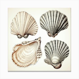 Sea Shells Canvas Print