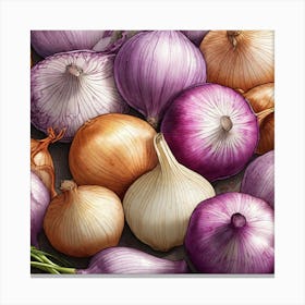 Onion Painting 1 Canvas Print
