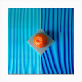 Orange On A Blue Background Canvas Print