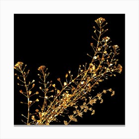 Gold Twigs Canvas Print