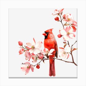 Cardinal On Cherry Blossom Canvas Print