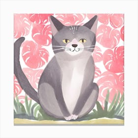 Cat In Pink Canvas Print