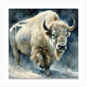 White Buffalo Canvas Print