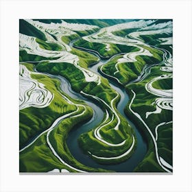 Rice Fields In China Canvas Print