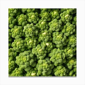 Close Up Of Green Broccoli 4 Canvas Print
