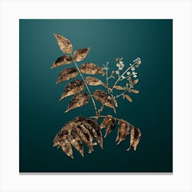 Gold Botanical Tree of Heaven on Dark Teal Canvas Print
