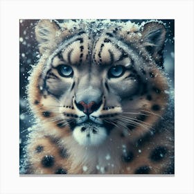 Snow Leopard 17 Canvas Print