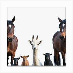 Family Of Horses Canvas Print