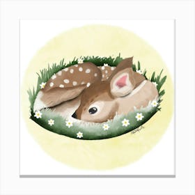 Deer/Biche Canvas Print