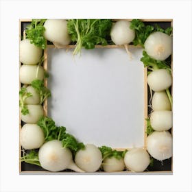White Onion Frame Canvas Print
