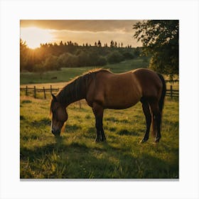 Leonardo Kino Xl Horses Graze On Grass At Sunset 2 Canvas Print