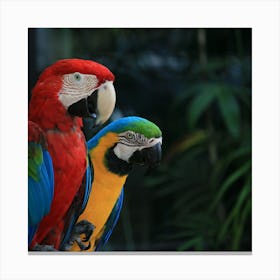 Parrots  Canvas Print