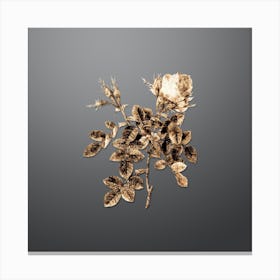 Gold Botanical Dwarf Damask Rose on Soft Gray n.2977 Canvas Print