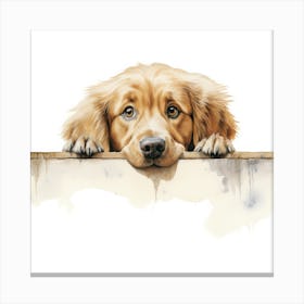 Golden Retriever 5 Canvas Print