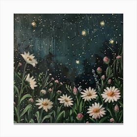 Daisies Under The Stars Canvas Print