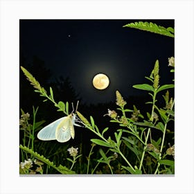 Butterfly In The Moonlight Canvas Print