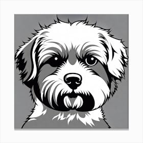 Shih Tzu, Black and white illustration, Dog drawing, Dog art, Animal illustration, Pet portrait, Realistic dog art, pup Canvas Print